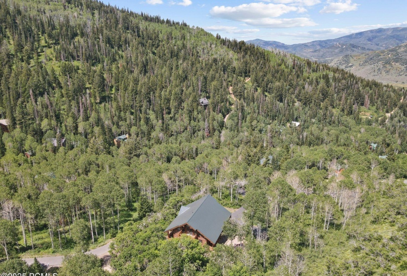 DJI_0567