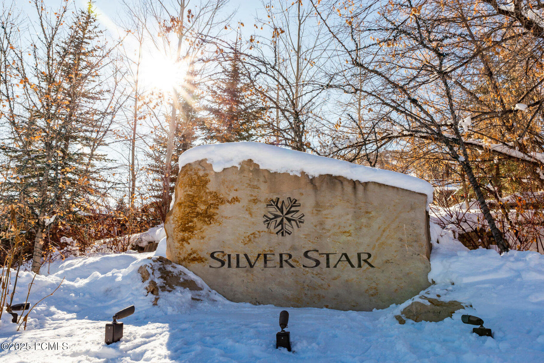 065_silver_star_stock_2019_park-large-00