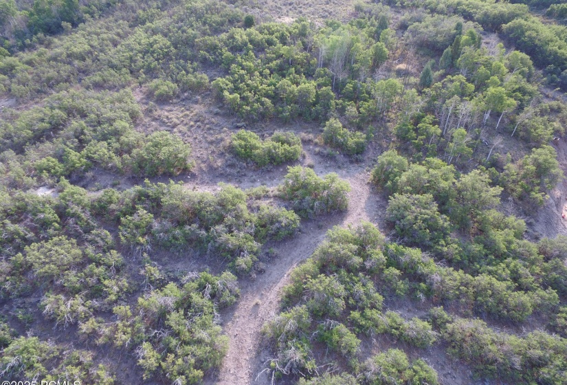 Future road to homesite