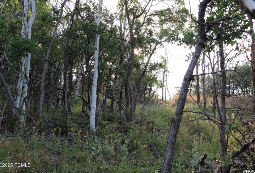 1421 Beaver Bench Lot