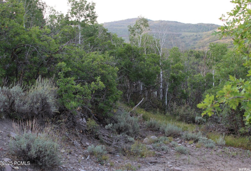 Near Home site