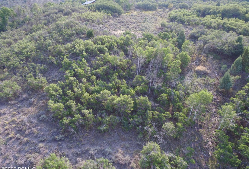 Drone pic of lot 2