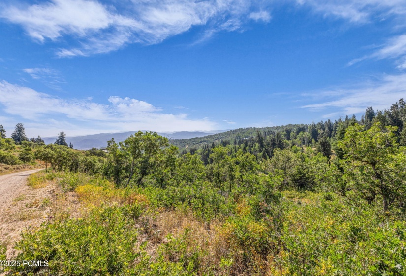 17-web-or-mls-2142-s-bull-moose-dr