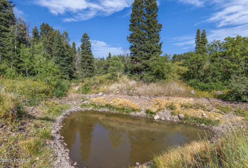 18-web-or-mls-2142-s-bull-moose-dr