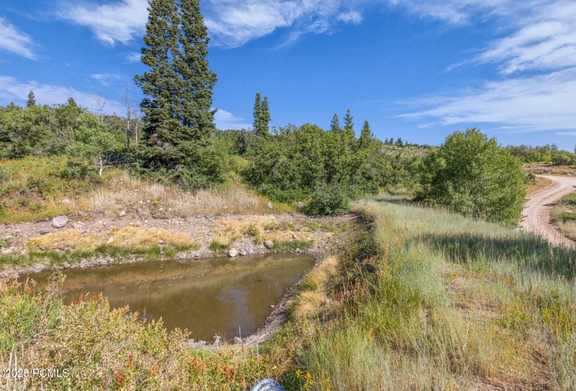 19-web-or-mls-2142-s-bull-moose-dr