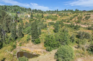 2412 Bull Moose Drive, Coalville, Utah 84017, ,Land,For Sale,Bull Moose,12503042