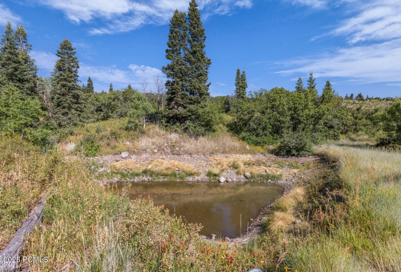 20-web-or-mls-2142-s-bull-moose-dr