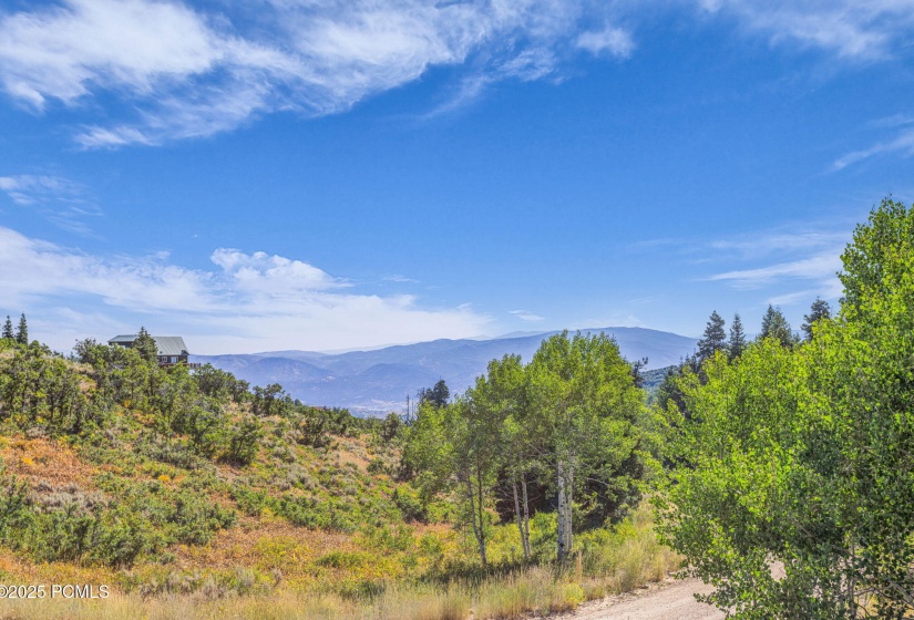 21-web-or-mls-2142-s-bull-moose-dr