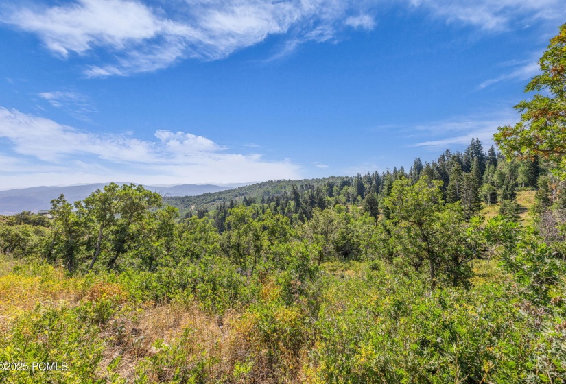 22-web-or-mls-2142-s-bull-moose-dr