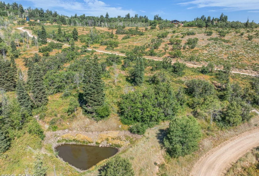 24-web-or-mls-2142-s-bull-moose-dr