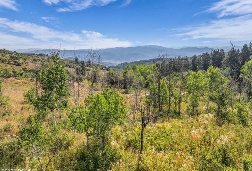 6-web-or-mls-2142-s-bull-moose-dr