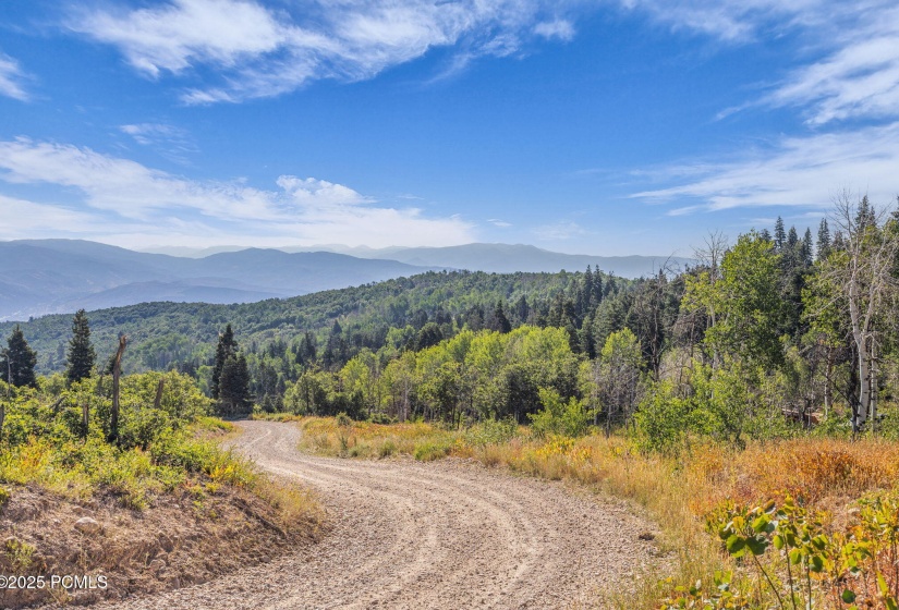 7-web-or-mls-2142-s-bull-moose-dr