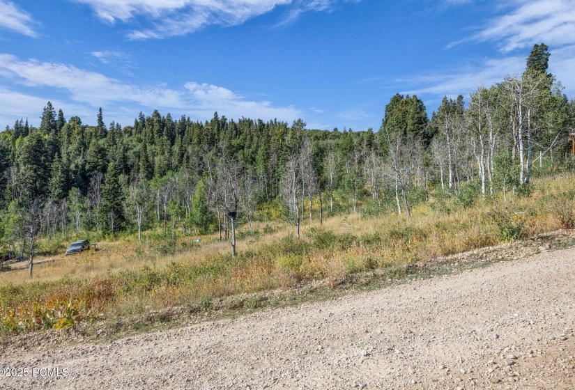 8-web-or-mls-2142-s-bull-moose-dr