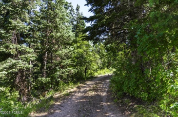 951 Hidden Circle, Coalville, Utah 84017, ,Land,For Sale,Hidden,12503090