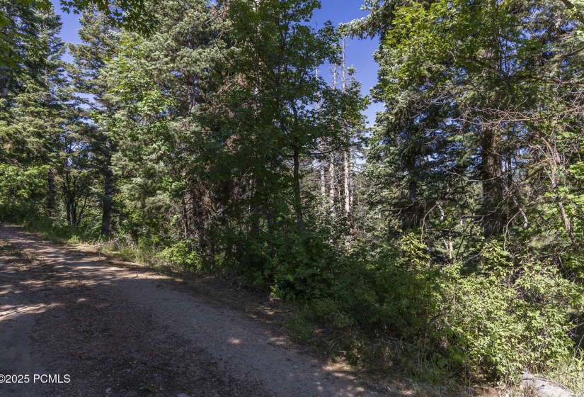 011_951hiddencirc20_186