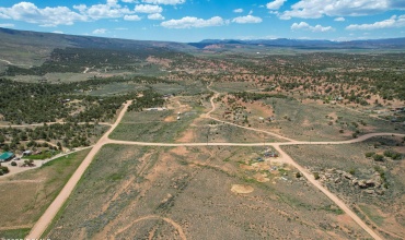 Fruiltland Drone-8