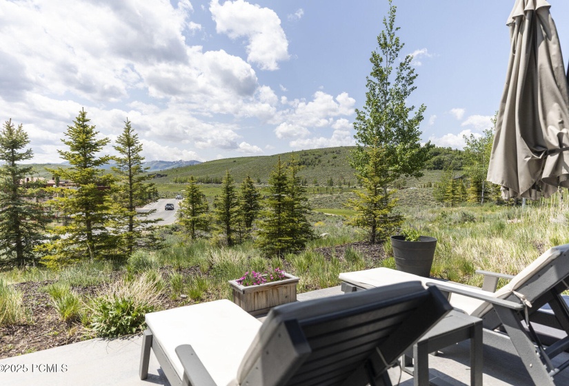 041_6379_w_golden_bear_loop-16_205