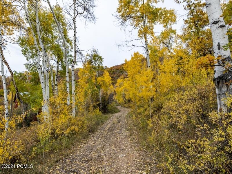 Trail