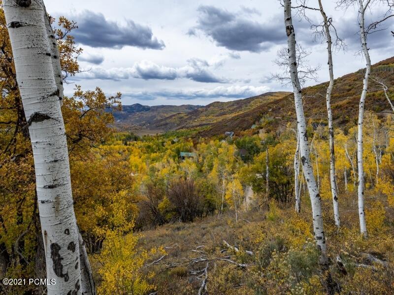 Mountain Views