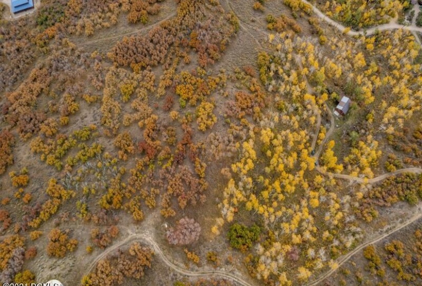 Aerial