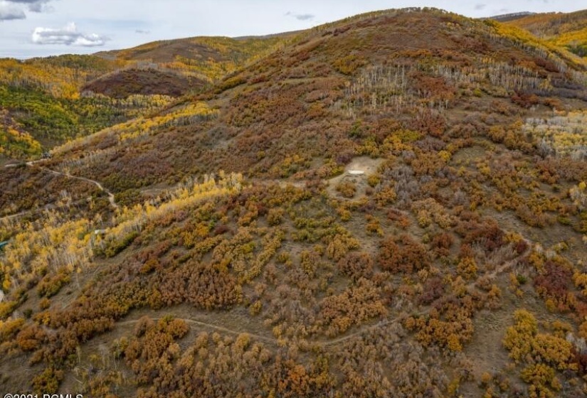 Aerial