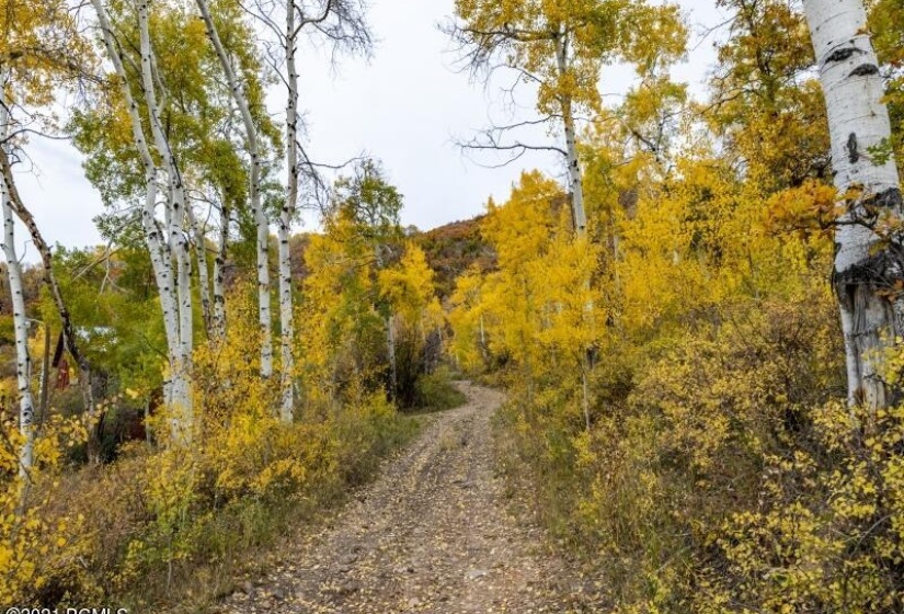 Trail