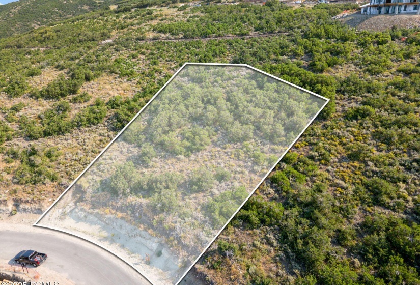 DJI_0230