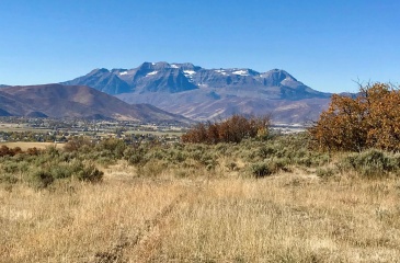 4769 Lake Creek Road, Heber City, Utah 84032, ,Land,For Sale,Lake Creek,12503392