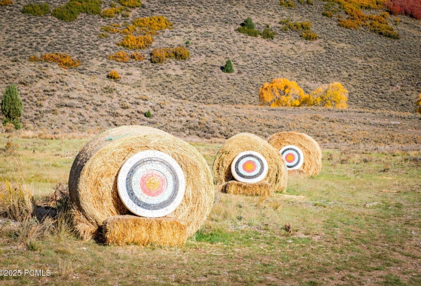 120_009_24-victoryranchfalllifestyle_arc