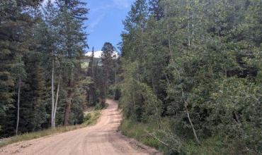 Tanglewood Dr. 1