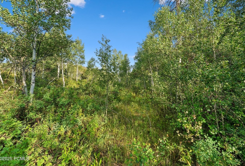 16_Exterior_1800x1200_4149206