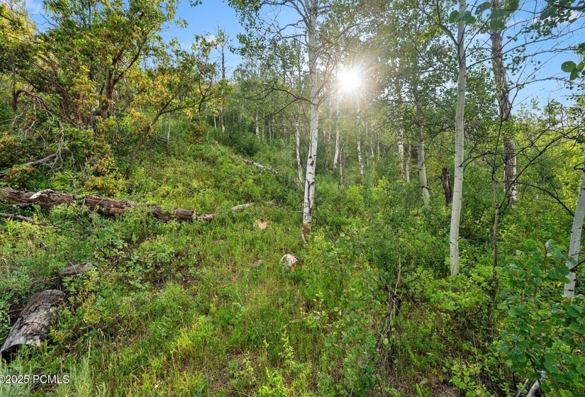 17_Exterior_1800x1200_4149207