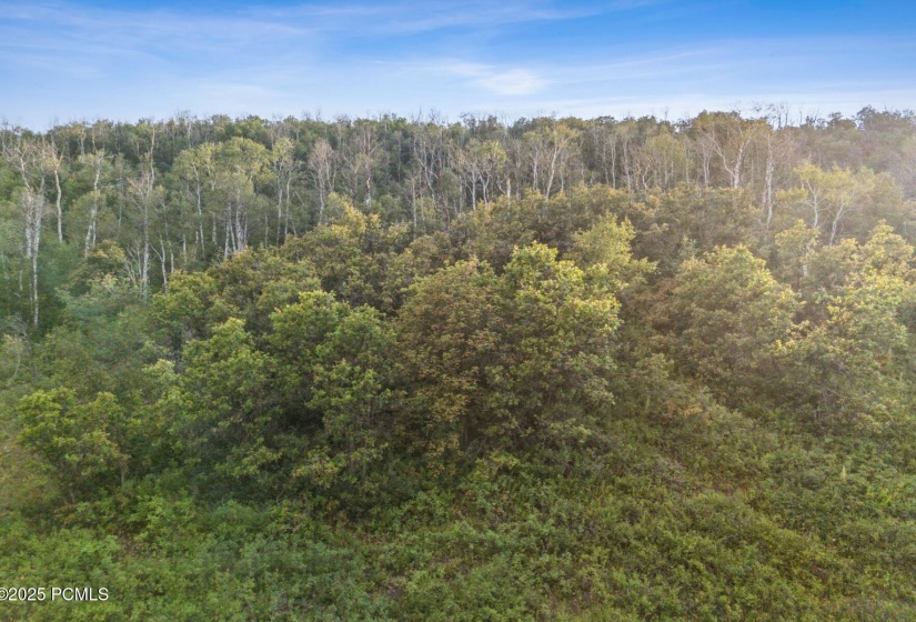 6_Aerial_1800x1200_4149198