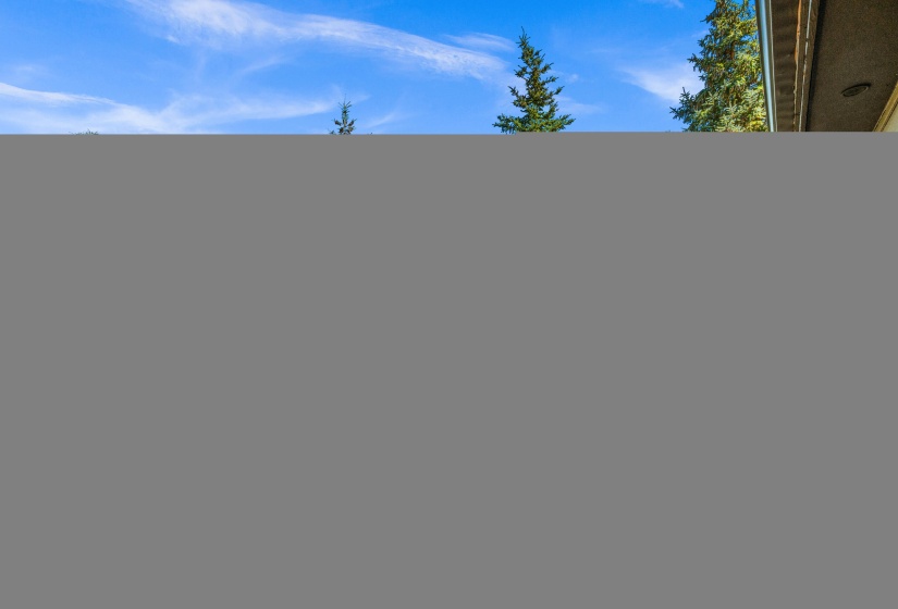 _DSC8561