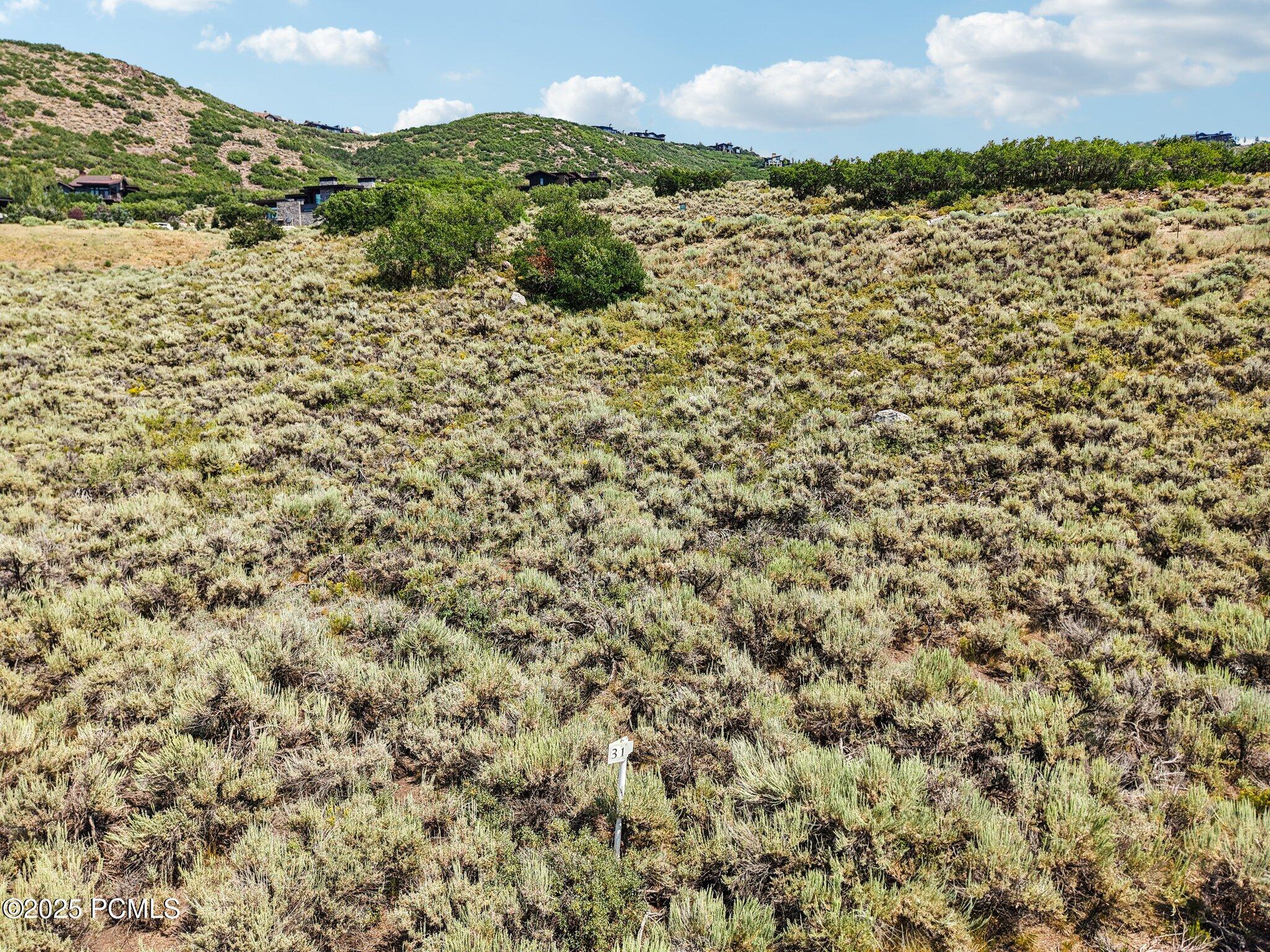 10-web-or-mls-E Canyon Gate Rd-010