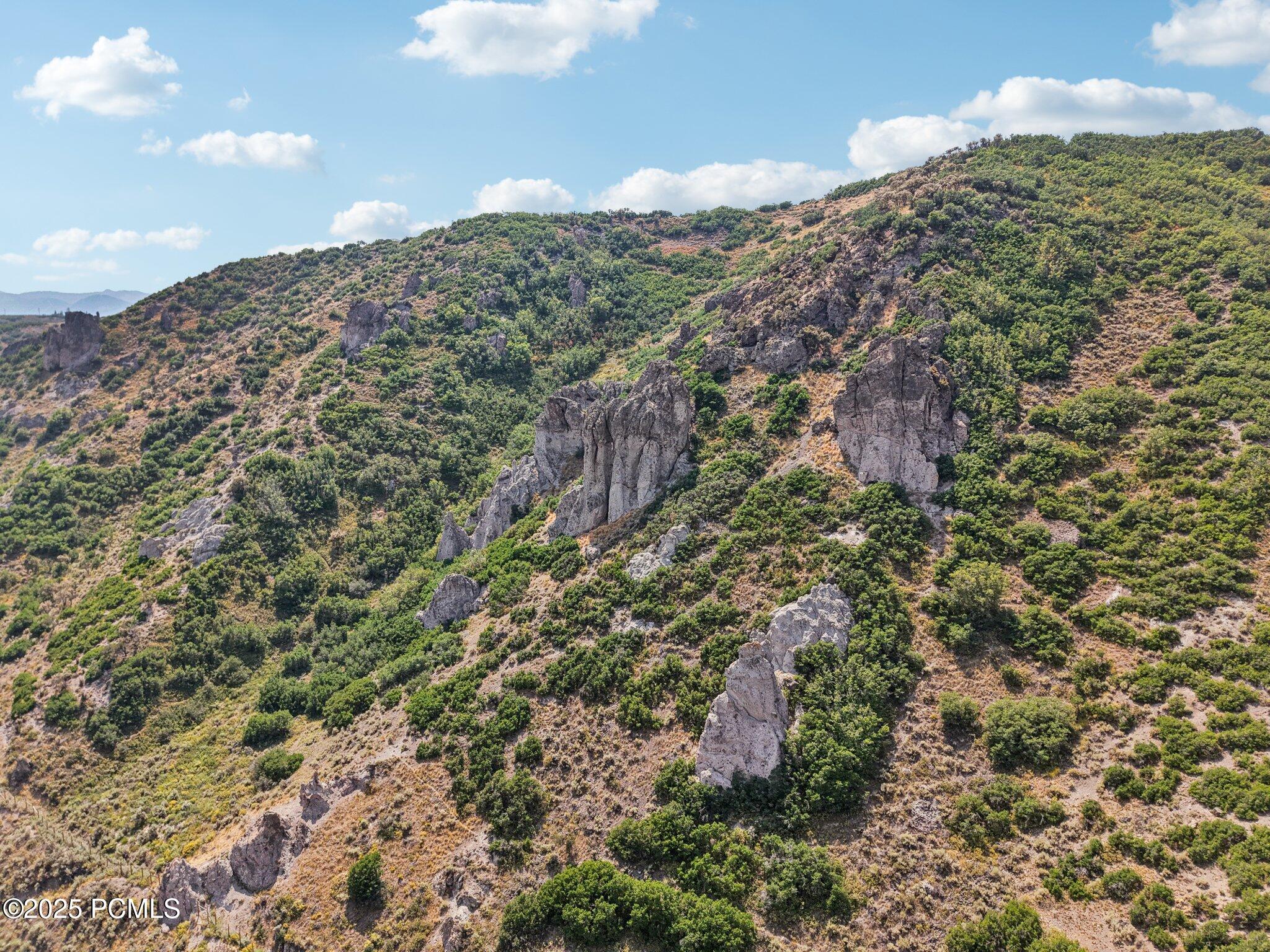 13-web-or-mls-E Canyon Gate Rd-013