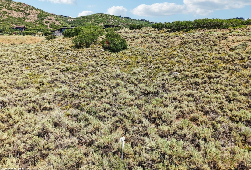 10-web-or-mls-E Canyon Gate Rd-010