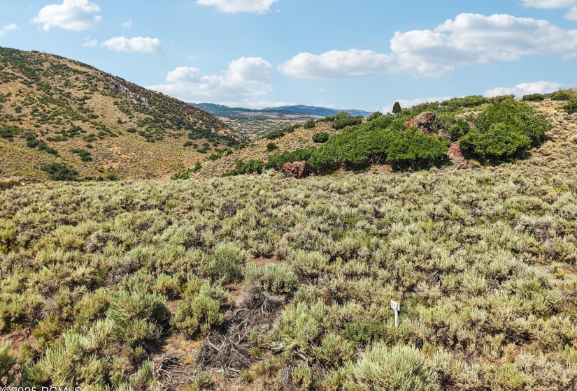 11-web-or-mls-E Canyon Gate Rd-011