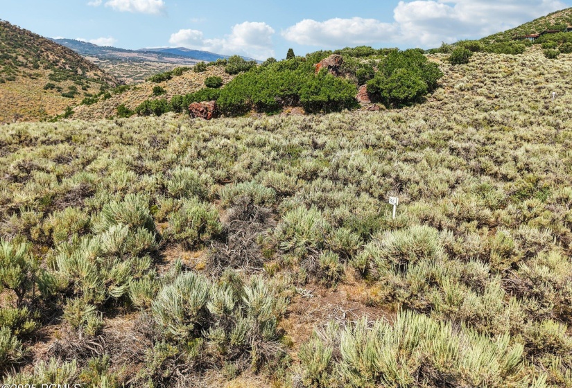 12-web-or-mls-E Canyon Gate Rd-012