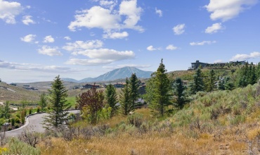 0_Lot_1800x1200_4262008