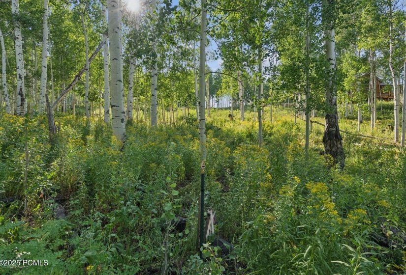24_Land_1800x1200_4260680