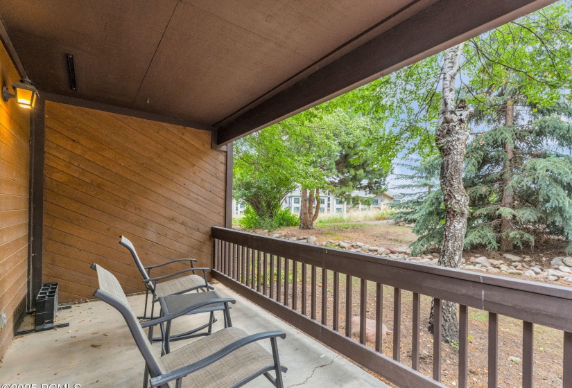 4-web-or-mls-2025-canyons-resort-dr-p4