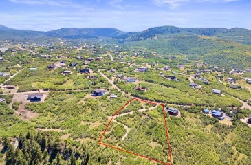 1563 Tree Top Lane, Heber City, Utah 84032, ,Land,For Sale,Tree Top,12503622
