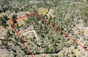 5559 Forest Drive, Kamas, Utah 84036, ,Land,For Sale,Forest,12503638