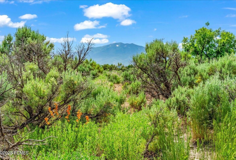 11-Blue Sage, Lot 10, Heber City, UT_011
