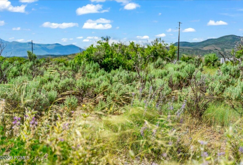 12-Blue Sage, Lot 10, Heber City, UT_012
