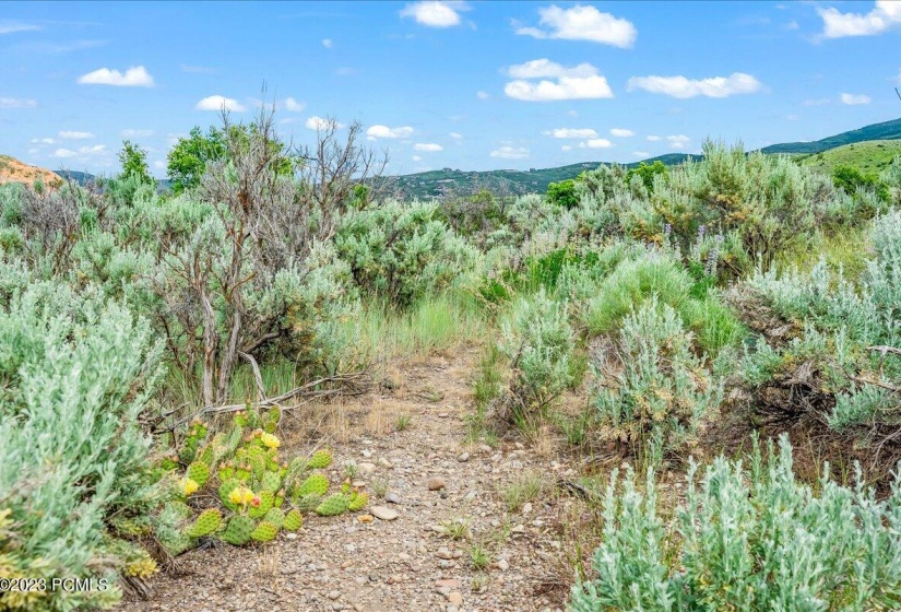 13-Blue Sage, Lot 10, Heber City, UT_013