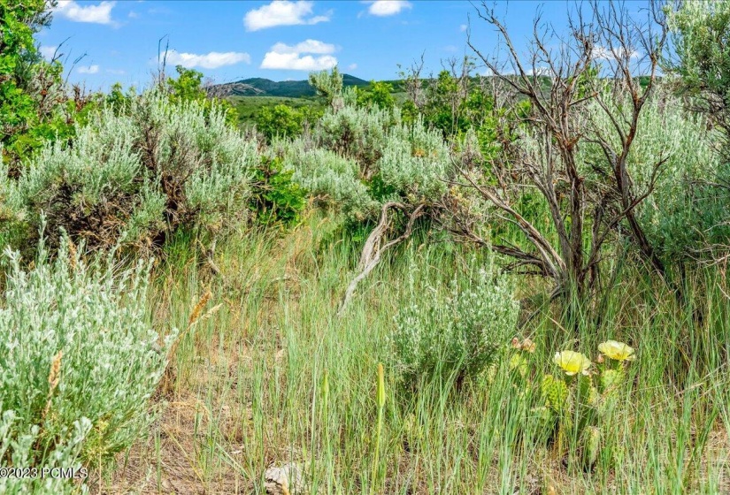 14-Blue Sage, Lot 10, Heber City, UT_014