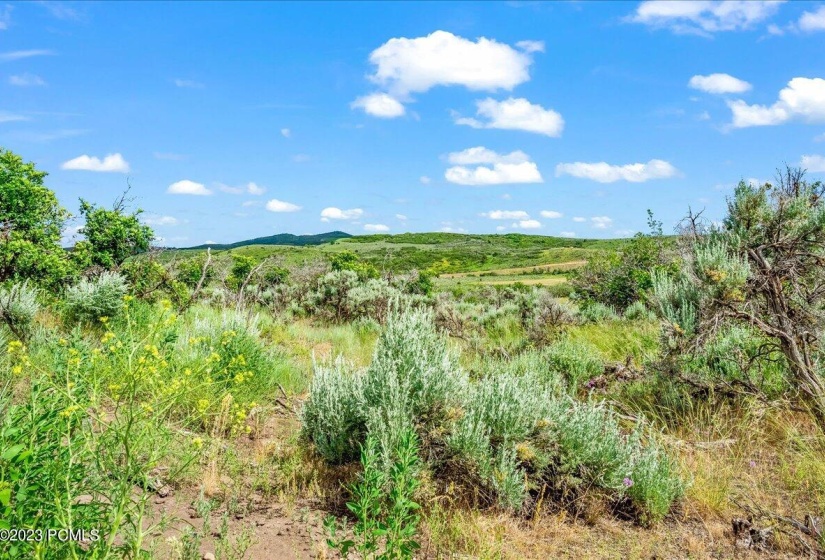 08-Blue Sage, Lot 10, Heber City, UT_008