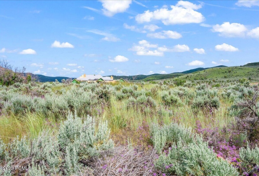 09-Blue Sage, Lot 11, Heber City_009